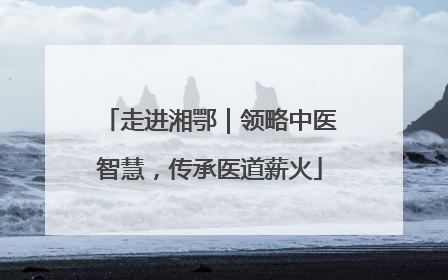 走进湘鄂｜领略中医智慧，传承医道薪火