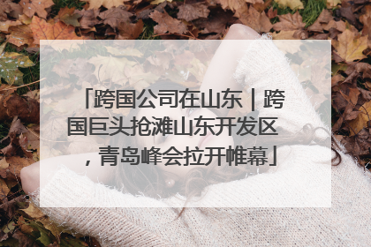 跨国公司在山东｜跨国巨头抢滩山东开发区，青岛峰会拉开帷幕