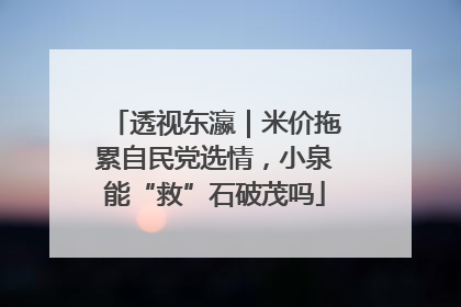 透视东瀛｜米价拖累自民党选情，小泉能“救”石破茂吗