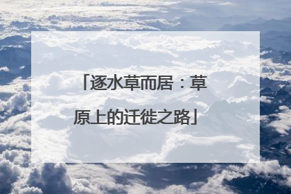 逐水草而居：草原上的迁徙之路