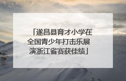 遂昌县育才小学在全国青少年打击乐展演浙江省赛获佳绩