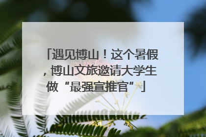 遇见博山！这个暑假，博山文旅邀请大学生做“最强宣推官”