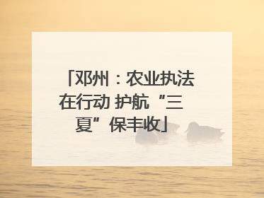 邓州：农业执法在行动 护航“三夏”保丰收