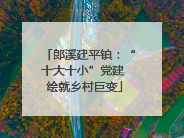 郎溪建平镇：“十大十小”党建 绘就乡村巨变
