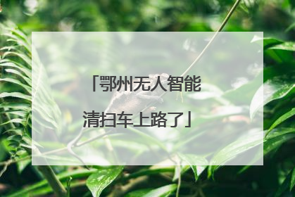 鄂州无人智能清扫车上路了