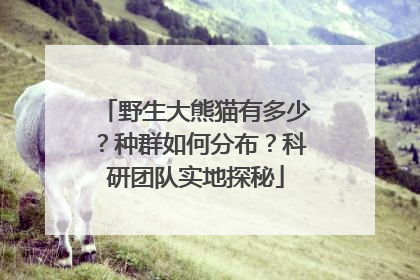 野生大熊猫有多少？种群如何分布？科研团队实地探秘