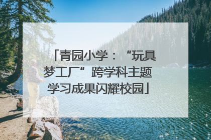 青园小学：“玩具梦工厂”跨学科主题学习成果闪耀校园