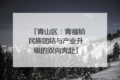 青山区：青福镇民族团结与产业升级的双向奔赴
