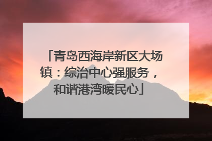青岛西海岸新区大场镇：综治中心强服务，和谐港湾暖民心