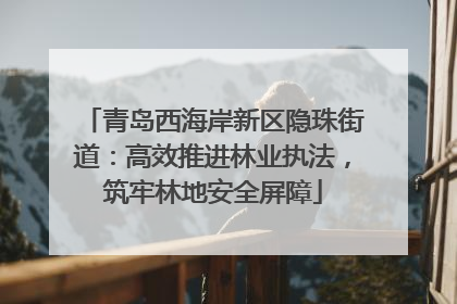 青岛西海岸新区隐珠街道：高效推进林业执法，筑牢林地安全屏障
