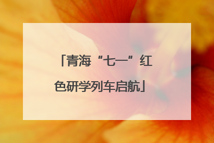 青海“七一”红色研学列车启航