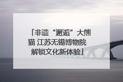 非遗“邂逅”大熊猫 江苏无锡博物院解锁文化新体验