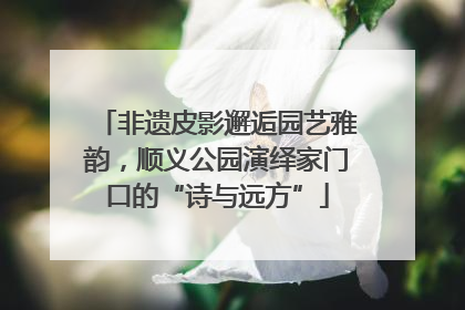 非遗皮影邂逅园艺雅韵，顺义公园演绎家门口的“诗与远方”