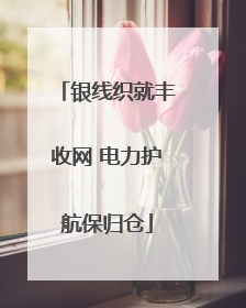 银线织就丰收网 电力护航保归仓