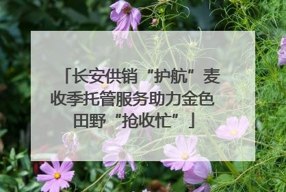 长安供销“护航”麦收季托管服务助力金色田野“抢收忙”