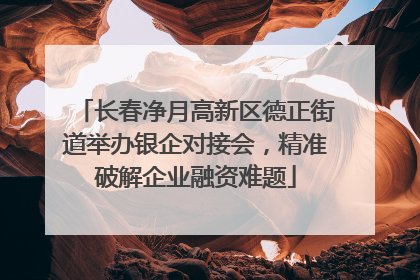 长春净月高新区德正街道举办银企对接会，精准破解企业融资难题