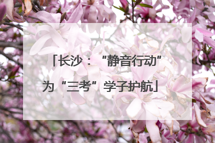 长沙：“静音行动”为“三考”学子护航