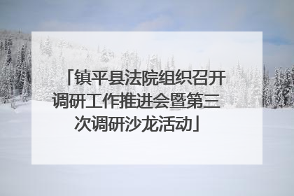 镇平县法院组织召开调研工作推进会暨第三次调研沙龙活动