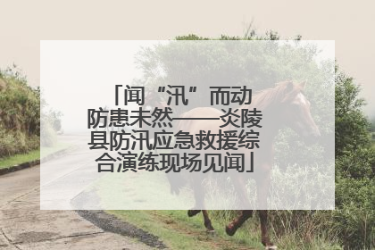 闻“汛”而动 防患未然——炎陵县防汛应急救援综合演练现场见闻
