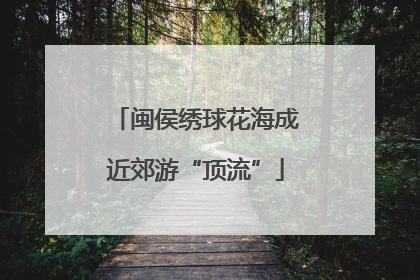 闽侯绣球花海成近郊游“顶流”
