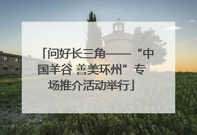 问好长三角——“中国羊谷 善美环州”专场推介活动举行