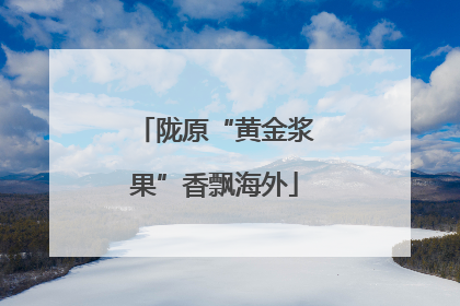 陇原“黄金浆果”香飘海外