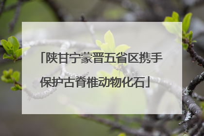 陕甘宁蒙晋五省区携手保护古脊椎动物化石