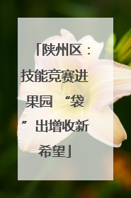 陕州区：技能竞赛进果园 “袋”出增收新希望