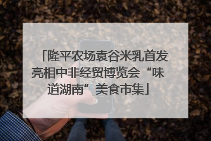 隆平农场袁谷米乳首发亮相中非经贸博览会“味道湖南”美食市集