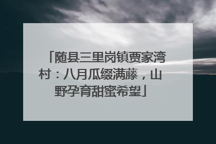 随县三里岗镇贾家湾村：八月瓜缀满藤，山野孕育甜蜜希望