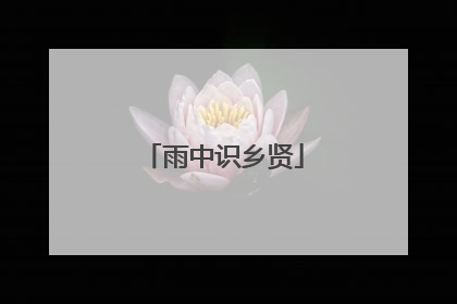雨中识乡贤