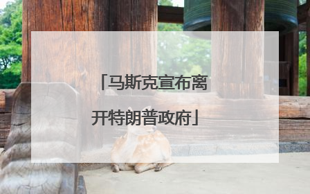 马斯克宣布离开特朗普政府