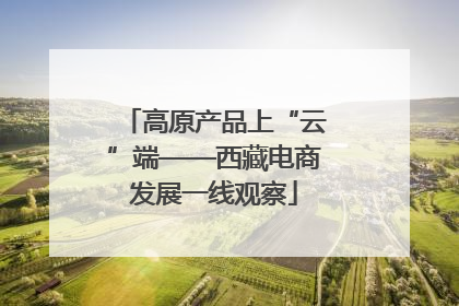 高原产品上“云”端——西藏电商发展一线观察