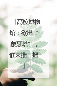 高校博物馆：欲出“象牙塔”，谁来推一把