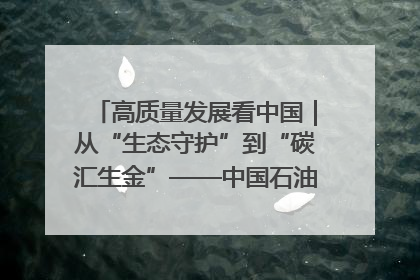 高质量发展看中国｜从“生态守护”到“碳汇生金”——中国石油大庆油田绿色蝶变