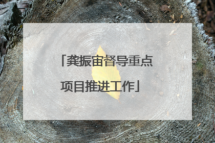 龚振宙督导重点项目推进工作