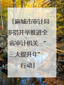 麻城市审计局多措并举推进全省审计机关 “三大提升年” 行动