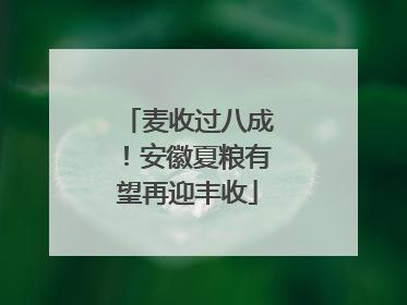 麦收过八成！安徽夏粮有望再迎丰收