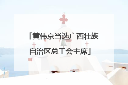 黄伟京当选广西壮族自治区总工会主席
