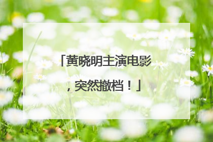 黄晓明主演电影，突然撤档！
