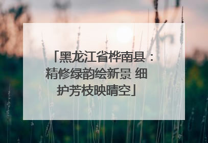 黑龙江省桦南县：精修绿韵绘新景 细护芳枝映晴空