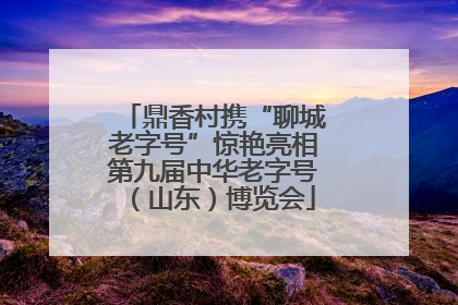 鼎香村携“聊城老字号”惊艳亮相第九届中华老字号（山东）博览会