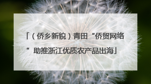 （侨乡新貌）青田“侨贸网络”助推浙江优质农产品出海