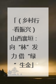 （乡村行·看振兴）山西襄垣：向“林”发力 借“绿”生金