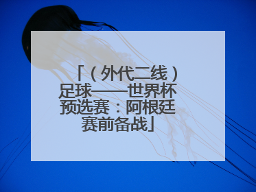 （外代二线）足球——世界杯预选赛：阿根廷赛前备战