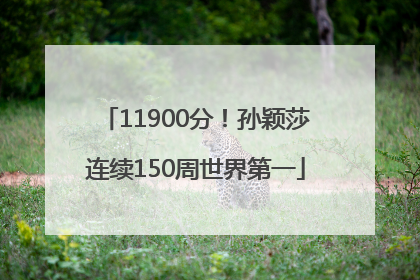 11900分！孙颖莎连续150周世界第一