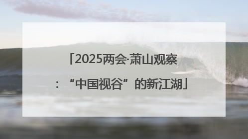 2025两会·萧山观察：“中国视谷”的新江湖
