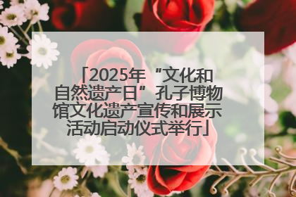 2025年“文化和自然遗产日”孔子博物馆文化遗产宣传和展示活动启动仪式举行