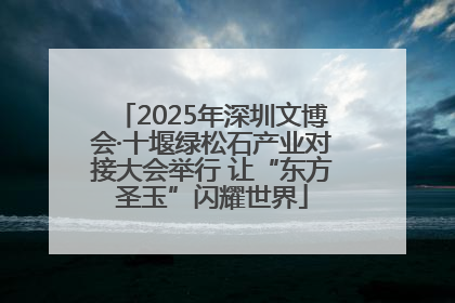2025年深圳文博会·十堰绿松石产业对接大会举行 让“东方圣玉”闪耀世界