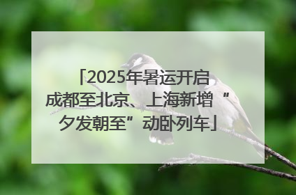 2025年暑运开启 成都至北京、上海新增“夕发朝至”动卧列车
